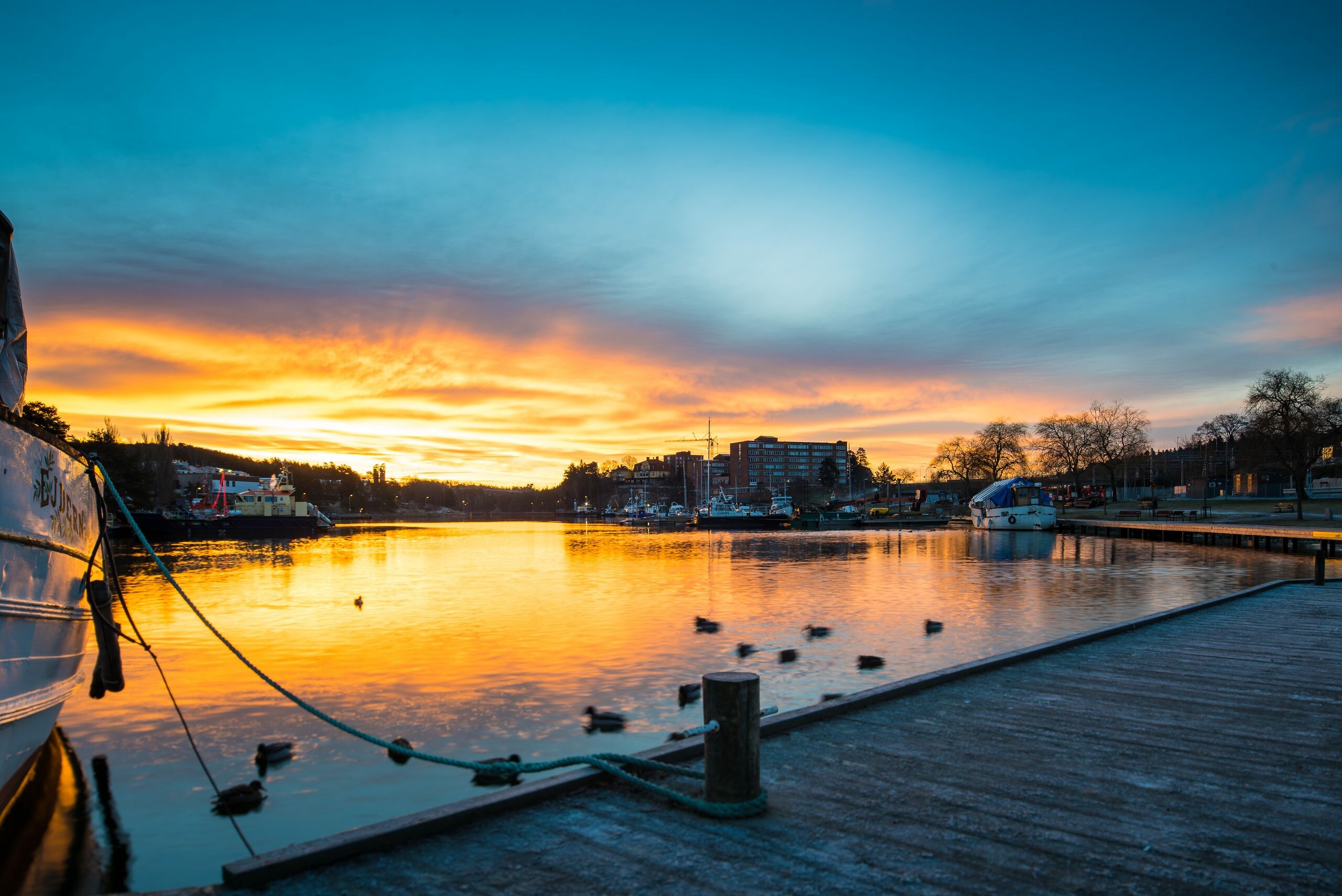 Södertälje soluppgång, ejdern & gästhamn